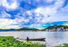 宁波中搜——打造全方位的搜索引擎服务平台（高效、准确、便捷——以宁波中搜为您提供全新的搜索体验）