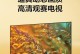三星电视机的领先之处及用户体验（探索三星电视机的创新技术与卓越品质）