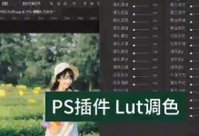 如何安装和使用PS预设插件（一步步教你轻松拓展PS功能）