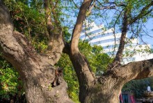 解析i5-5575r处理器的性能和特点（突破性能瓶颈，引领处理器发展潮流）