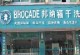 懒到家干洗衣服的实用技巧（省时省力，打造轻松洗衣体验）