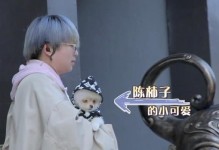 如何传送电视剧给朋友（简单方法分享，让你和朋友共享精彩剧集）