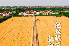 华为管培生计划（华为管培生项目的全面解读）