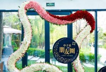以中子星优财为主题的金融投资平台分析（中子星优财的特点、风险和收益以及投资策略解析）